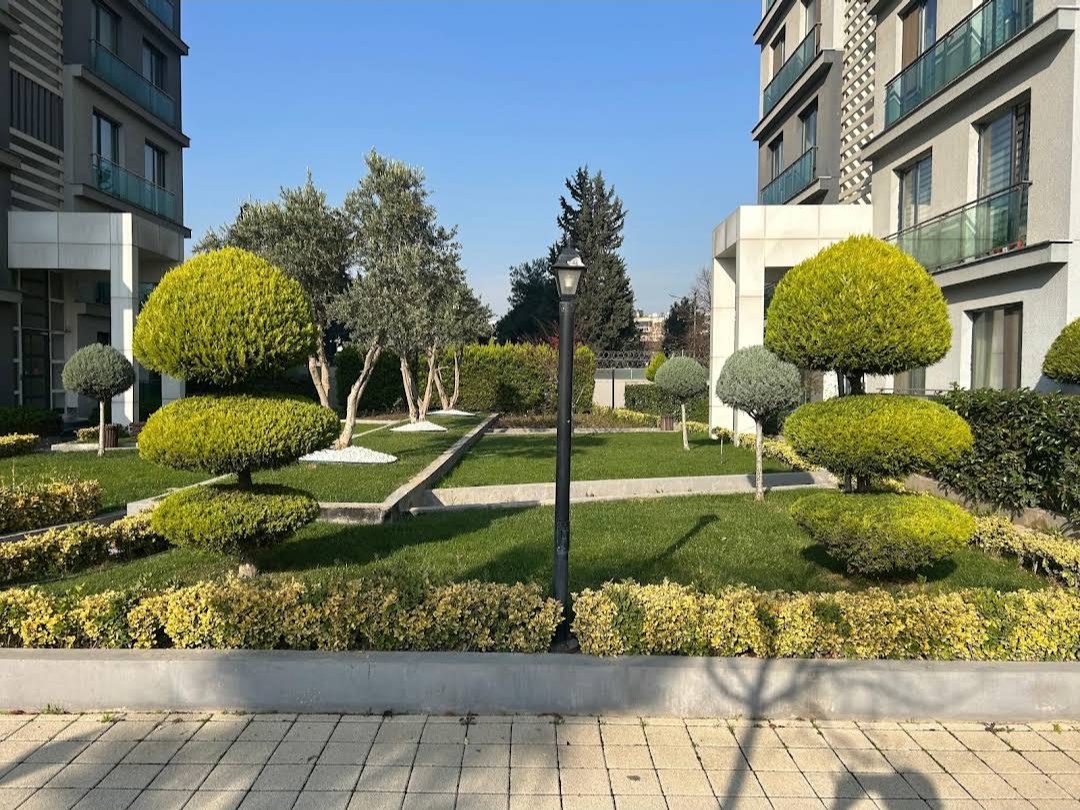 Bursa site bahçesinde şekilli budanmış bitkiler ve zeytin ağaçları