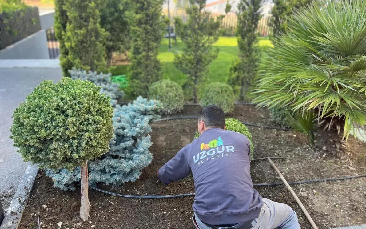 Otomatik Sulama Sistemleriyle Bahçe Bakımı Artık Çok Daha Kolay