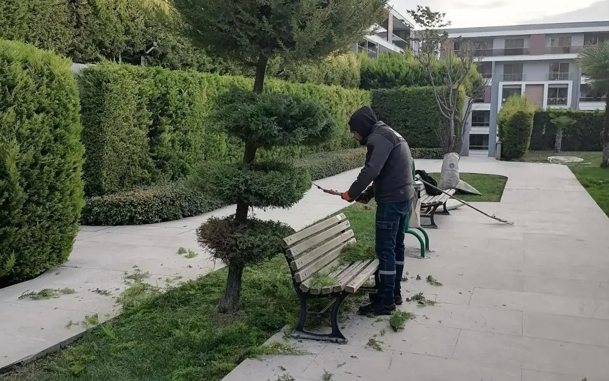 Bursa Bahçe Bakımı ve Peyzaj Tasarımı Rehberi (2026 Güncel)